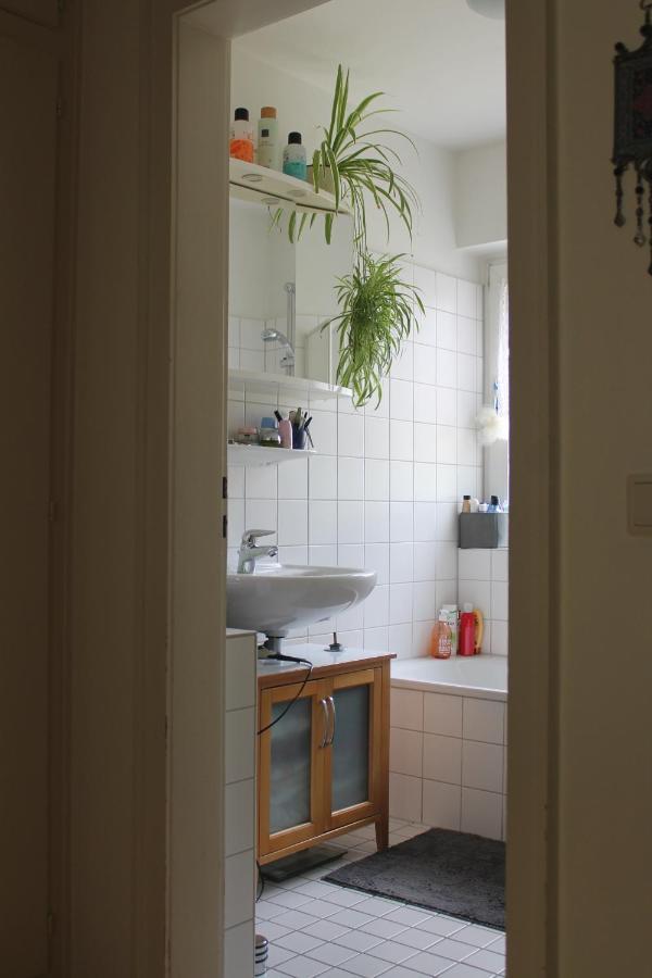Bed & Breakfast Bonn 24 Mai Bis14 Juni Mit Hund In Der Wohnung Esterno foto