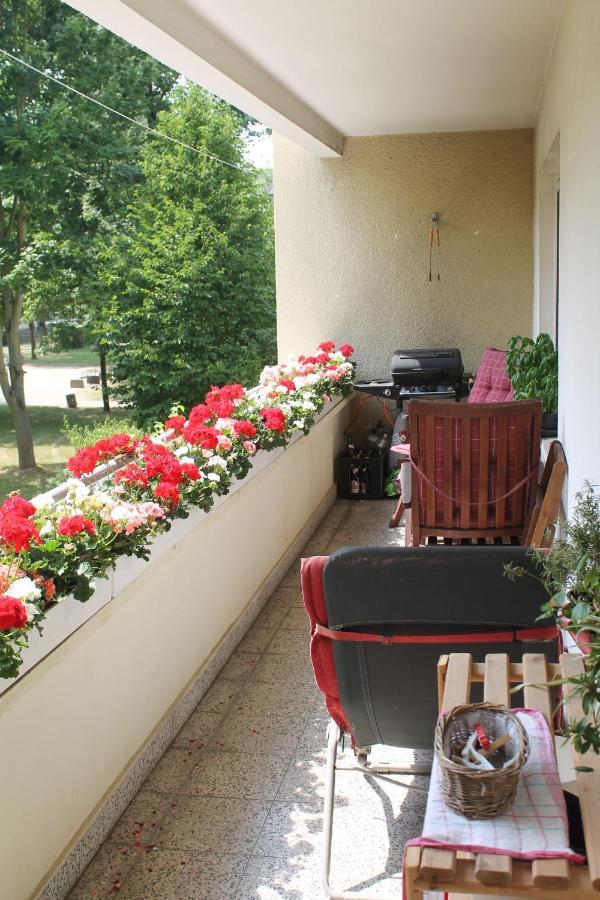 Bed & Breakfast Bonn 24 Mai Bis14 Juni Mit Hund In Der Wohnung Esterno foto