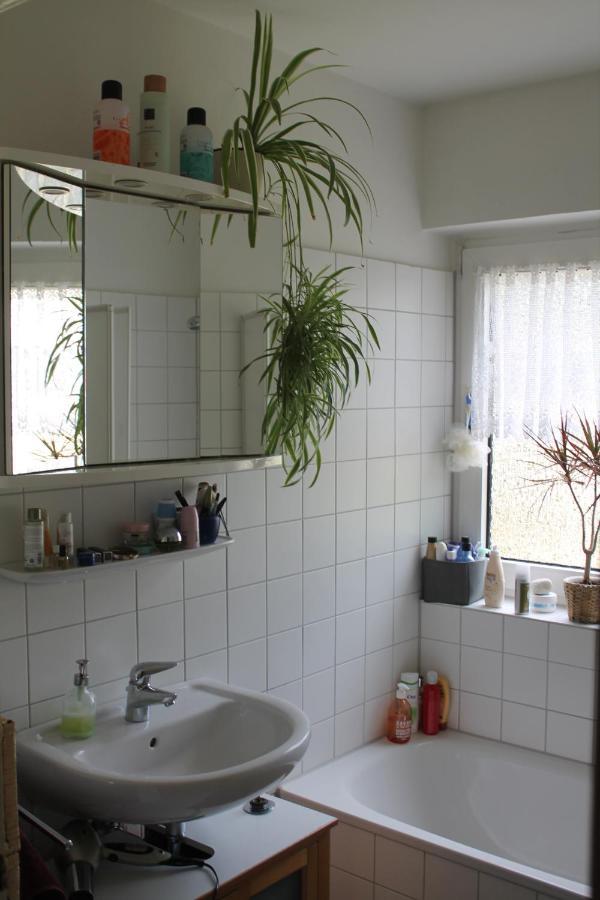 Bed & Breakfast Bonn 24 Mai Bis14 Juni Mit Hund In Der Wohnung Esterno foto