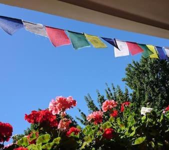 Bed & Breakfast Bonn 24 Mai Bis14 Juni Mit Hund In Der Wohnung Esterno foto
