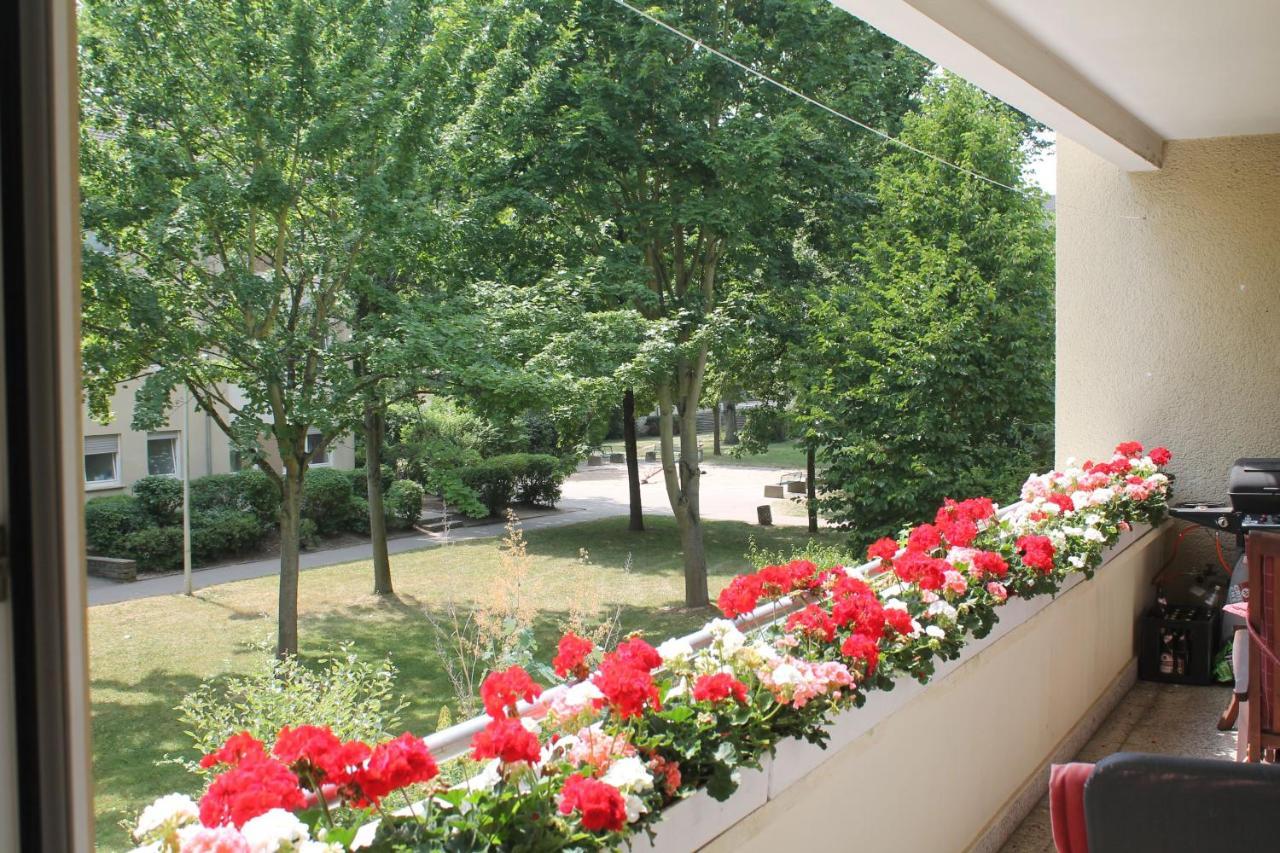Bed & Breakfast Bonn 24 Mai Bis14 Juni Mit Hund In Der Wohnung Esterno foto